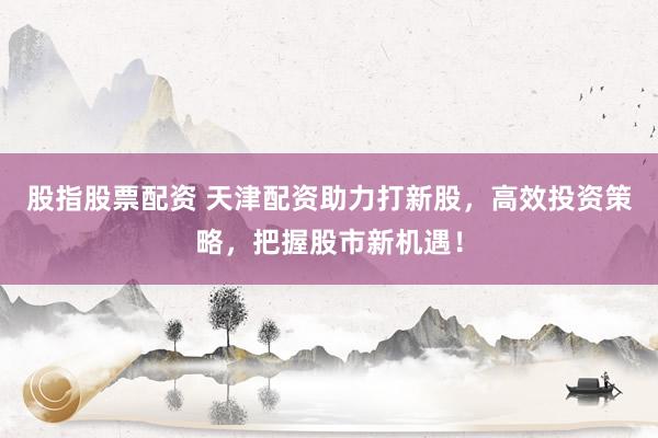 股指股票配资 天津配资助力打新股，高效投资策略，把握股市新机遇！