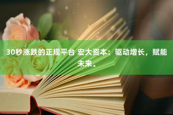 30秒涨跌的正规平台 宏大资本：驱动增长，赋能未来。