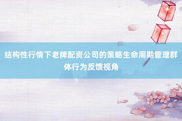 结构性行情下老牌配资公司的策略生命周期管理群体行为反馈视角