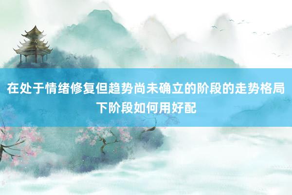 在处于情绪修复但趋势尚未确立的阶段的走势格局下阶段如何用好配