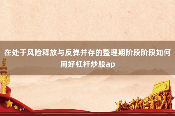 在处于风险释放与反弹并存的整理期阶段阶段如何用好杠杆炒股ap