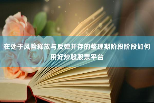 在处于风险释放与反弹并存的整理期阶段阶段如何用好炒股股票平台