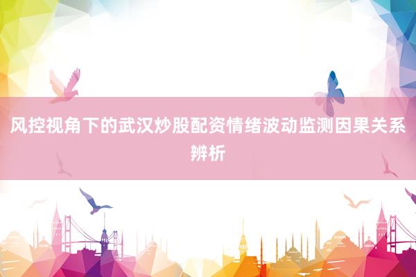 风控视角下的武汉炒股配资情绪波动监测因果关系辨析