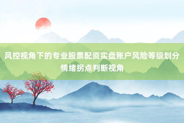 风控视角下的专业股票配资实盘账户风险等级划分情绪拐点判断视角