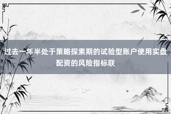 过去一年半处于策略探索期的试验型账户使用实盘配资的风险指标联