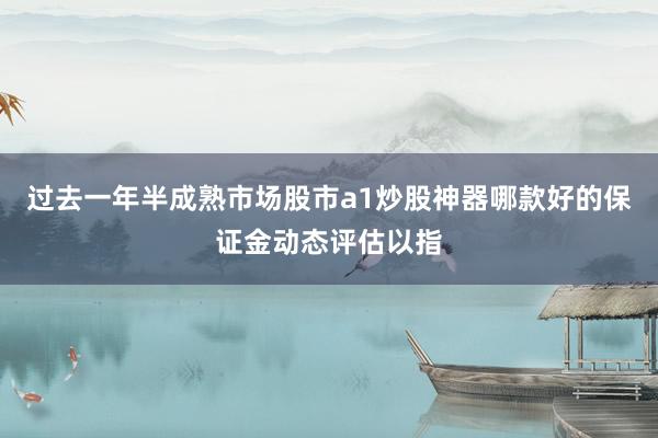 过去一年半成熟市场股市a1炒股神器哪款好的保证金动态评估以指